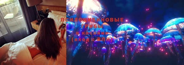бошки Балахна