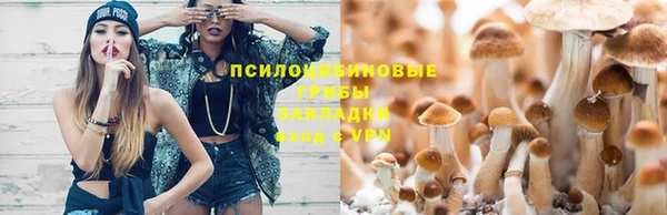 тгк Арсеньев