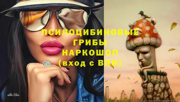 бошки Балахна