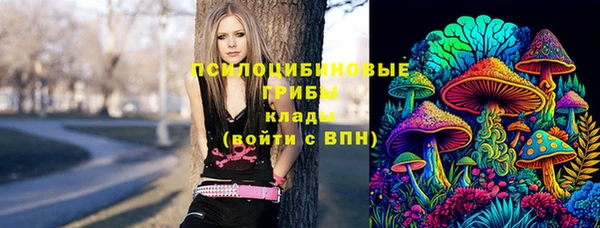 ешки Армянск