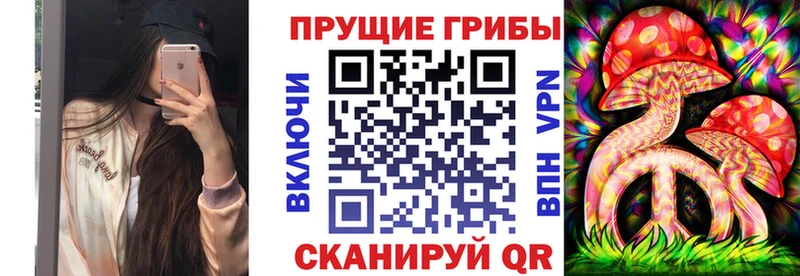 продажа наркотиков  MEGA как войти  Псилоцибиновые грибы GOLDEN TEACHER  Кировск 