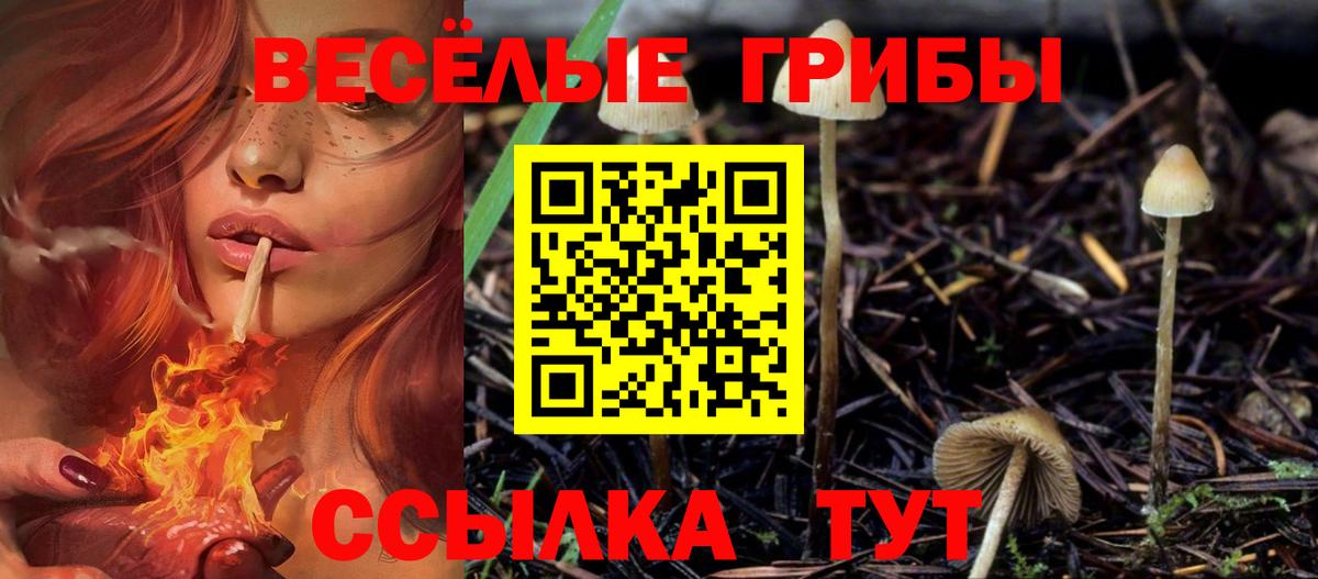 Галлюциногенные грибы Magic Shrooms Кировск